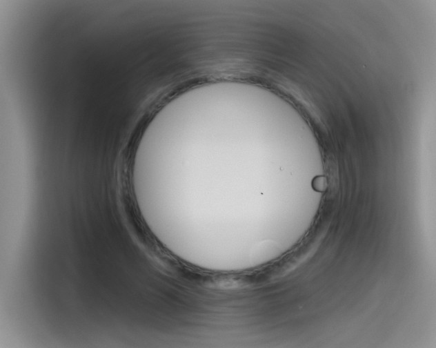 X0000115790590200911131028