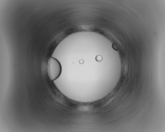 X0000115790595200911131028
