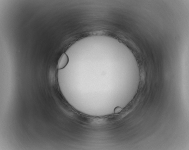 X0000115790599200911131028