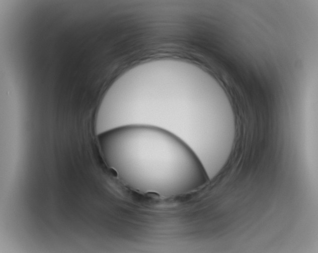X0000115790601200911131028