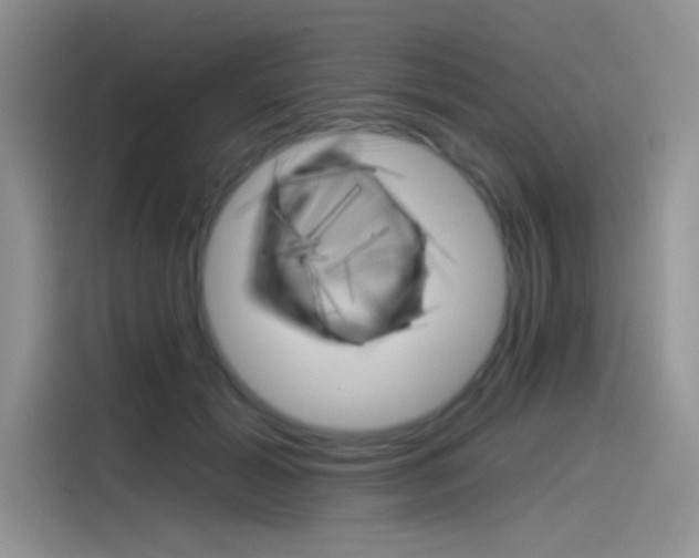 X0000115790605200911131028