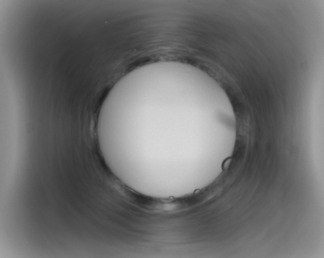 X0000115790610200911131028