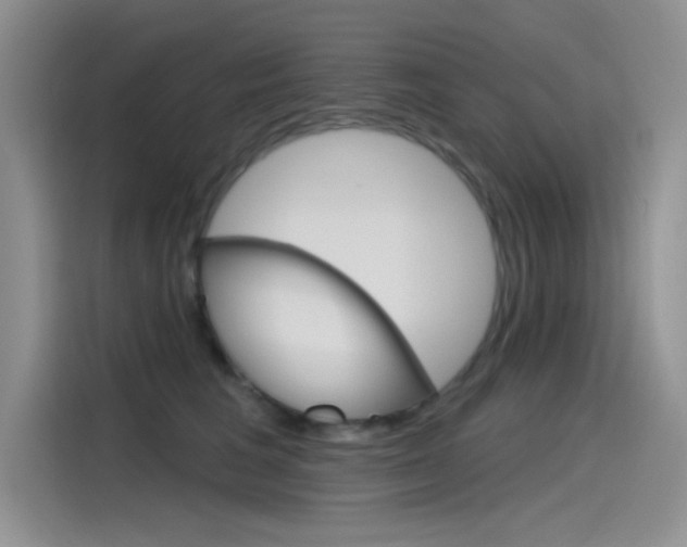 X0000115790613200911131028