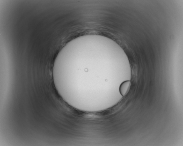 X0000115790614200911131028
