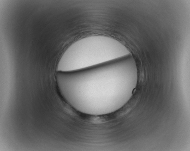X0000115790616200911131028