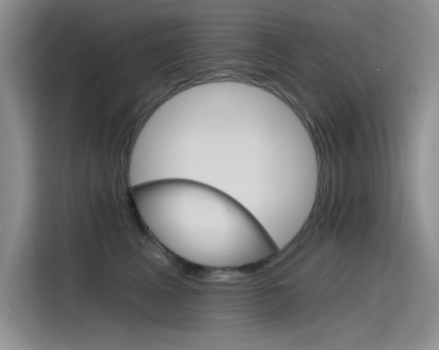 X0000115790617200911131028