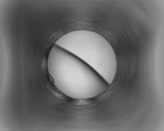 X0000115790623200911131027