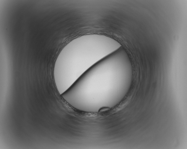 X0000115790624200911131027