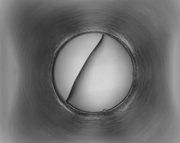 X0000115790625200911131027