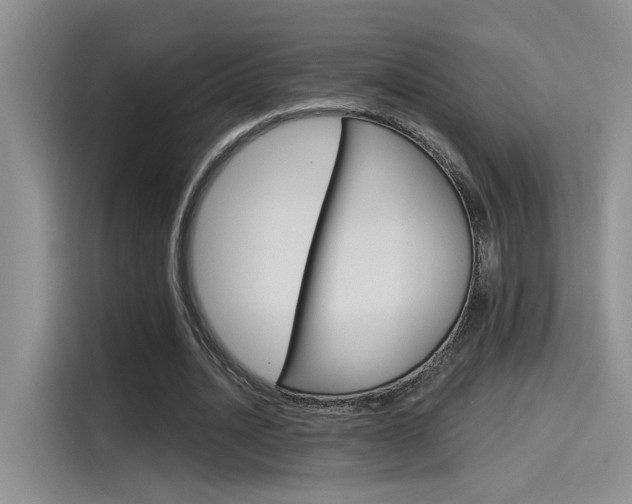 X0000115790628200911131027