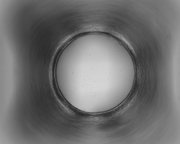 X0000115790629200911131027