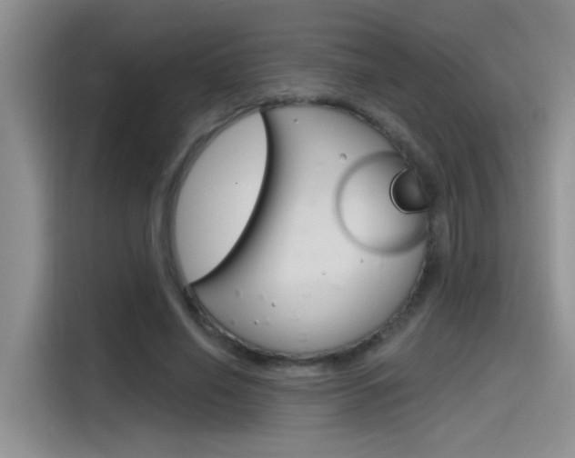 X0000115790638200911131027