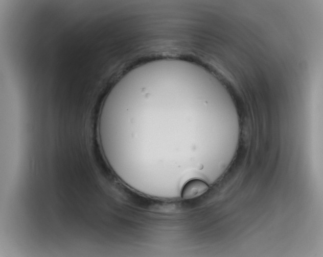 X0000115790639200911131027