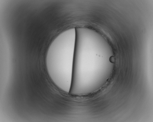 X0000115790641200911131027