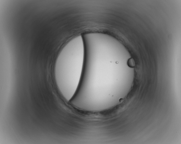 X0000115790642200911131027
