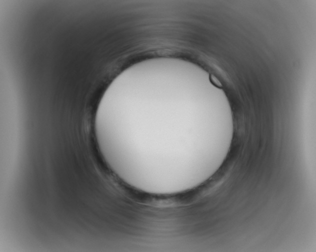 X0000115790645200911131027