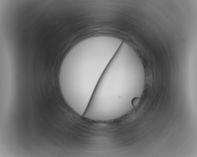 X0000115790649200911131027