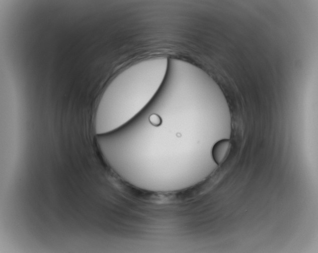 X0000115790660200911131027