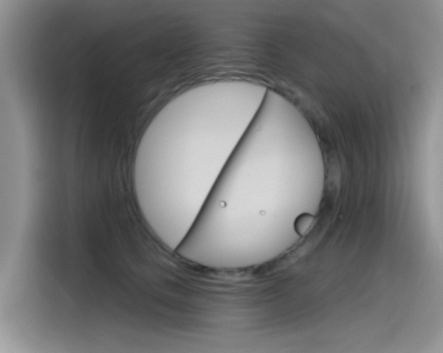 X0000115790661200911131027
