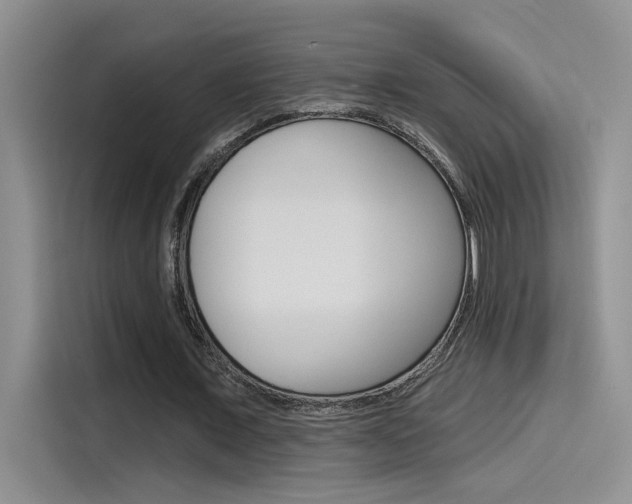 X0000115790675200911131027