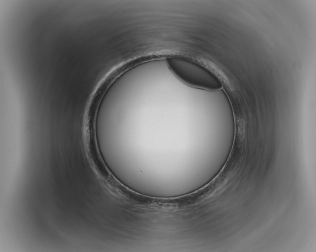 X0000115790676200911131027