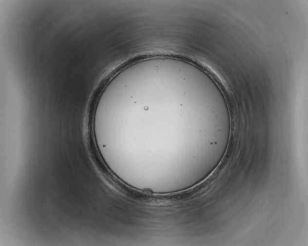 X0000115790677200911131027