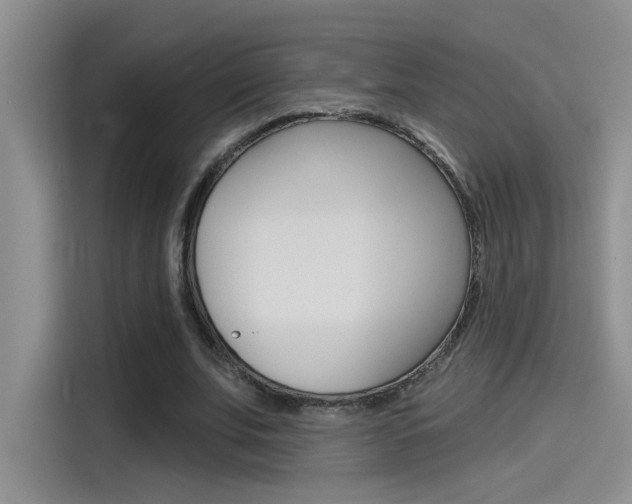 X0000115790679200911131027