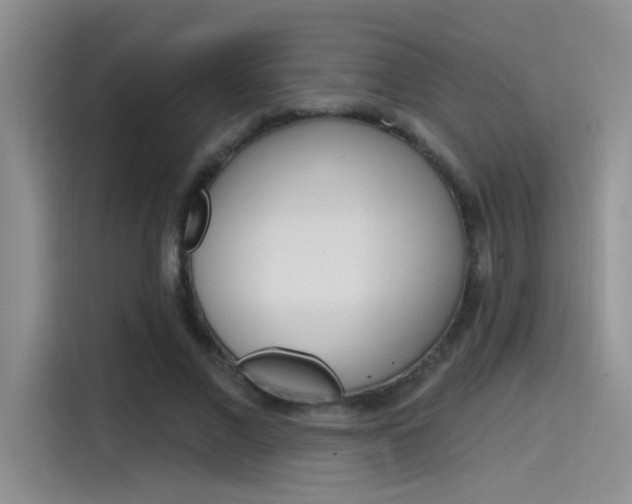X0000115790685200911131027