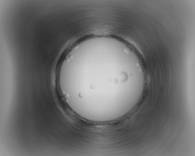 X0000115790686200911131027