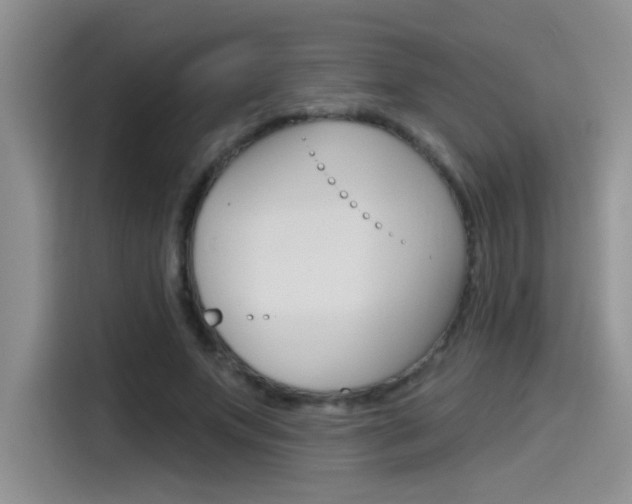 X0000115790687200911131027