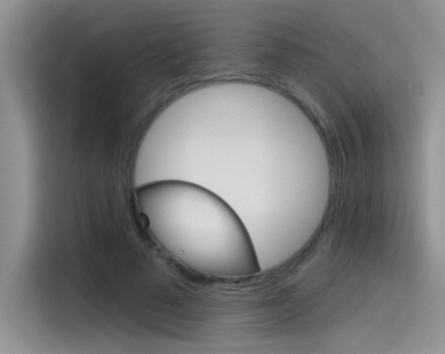 X0000115790689200911131027