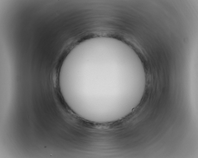 X0000115790694200911131027
