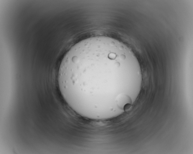 X0000115790698200911131026
