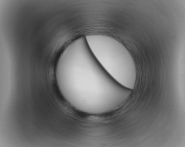 X0000115790699200911131026