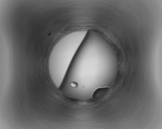 X0000115790704200911131026