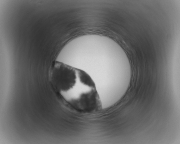 X0000115790707200911131026
