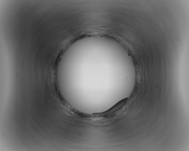 X0000115790716200911131026