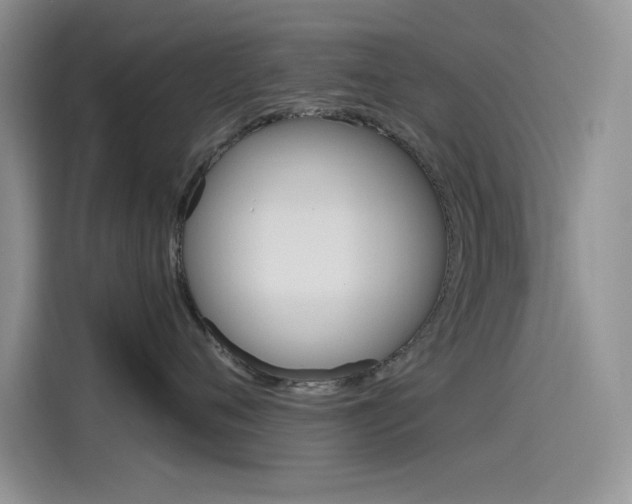 X0000115790720200911131026