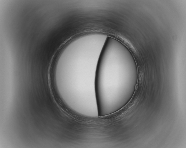 X0000115790722200911131026