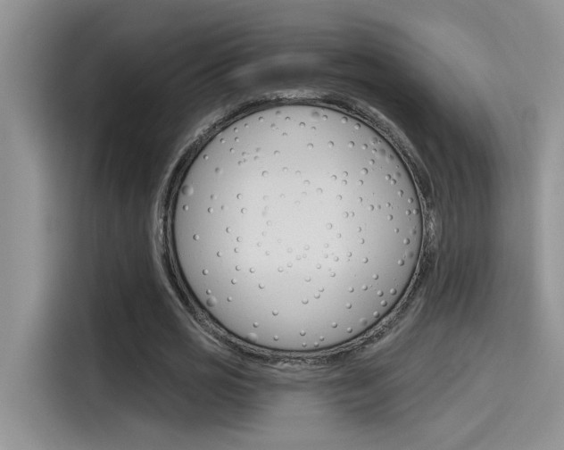 X0000115790725200911131026