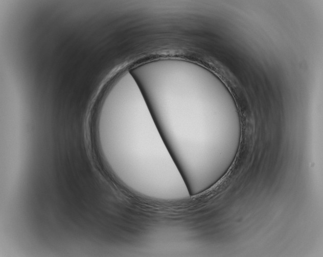 X0000115790727200911131026
