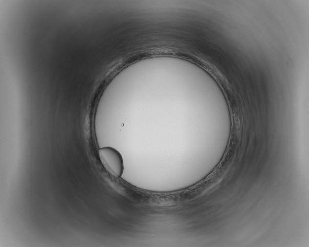 X0000115790729200911131026
