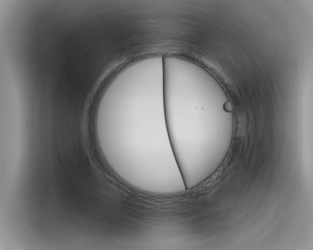 X0000115790731200911131026