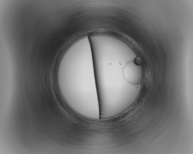 X0000115790734200911131026