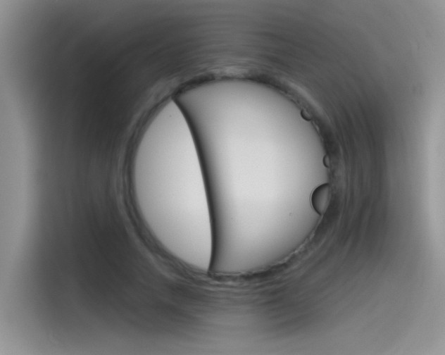 X0000115790738200911131026