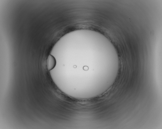 X0000115790745200911131026