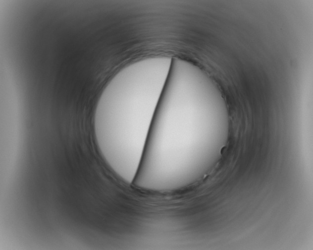 X0000115790747200911131026