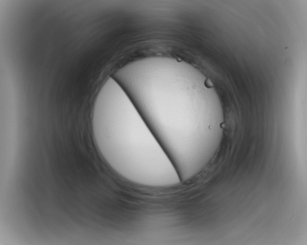 X0000115790751200911131026