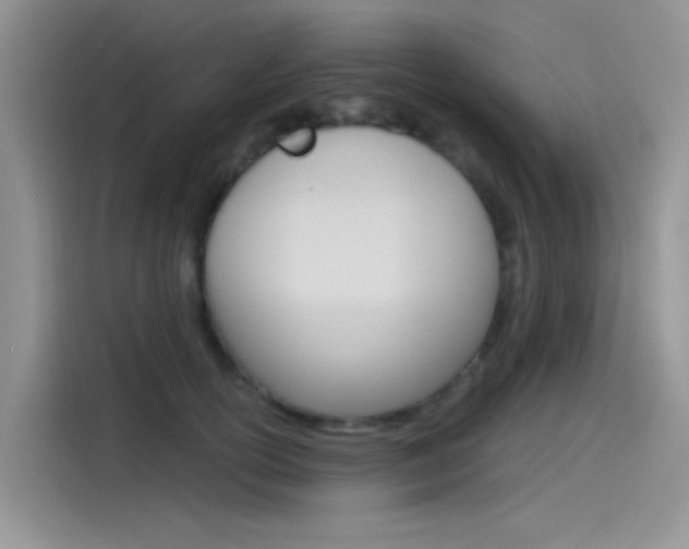 X0000115790754200911131026