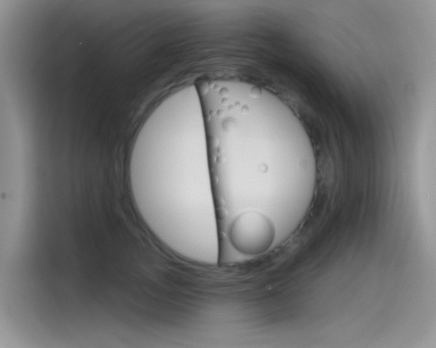 X0000115790755200911131026